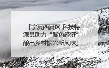 宁夏西夏区 科技特派员助力“紫色经济”酿出乡村振兴新风味