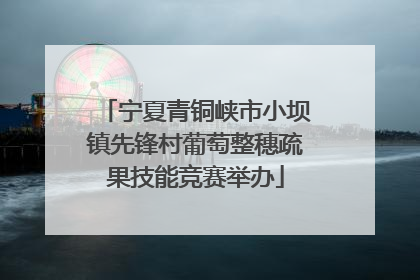宁夏青铜峡市小坝镇先锋村葡萄整穗疏果技能竞赛举办