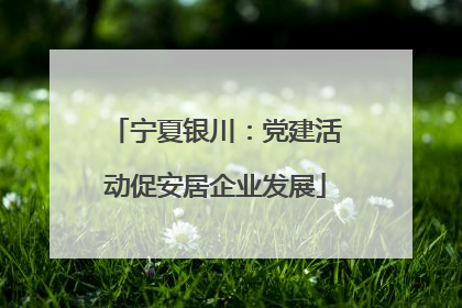 宁夏银川：党建活动促安居企业发展