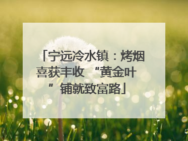 宁远冷水镇：烤烟喜获丰收 “黄金叶”铺就致富路