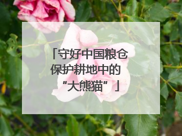 守好中国粮仓 保护耕地中的“大熊猫”