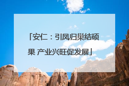 安仁：引凤归巢结硕果 产业兴旺促发展
