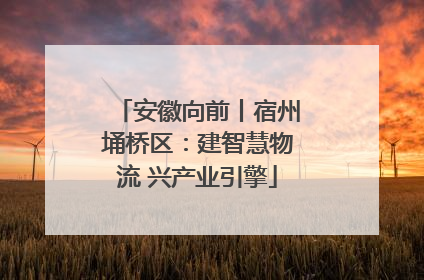 安徽向前丨宿州埇桥区：建智慧物流 兴产业引擎