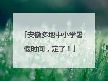 安徽多地中小学暑假时间，定了！