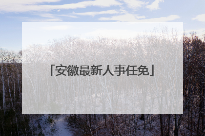 安徽最新人事任免