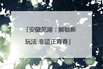 安徽芜湖：解锁新玩法 非遗正青春