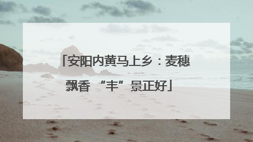 安阳内黄马上乡：麦穗飘香 “丰”景正好