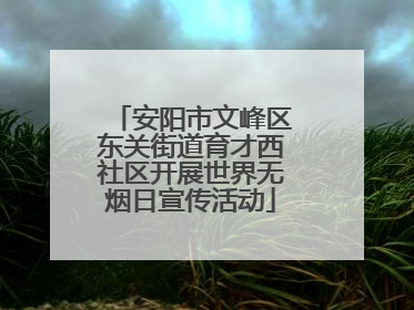 安阳市文峰区东关街道育才西社区开展世界无烟日宣传活动