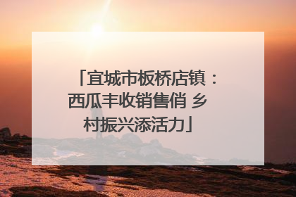 宜城市板桥店镇：西瓜丰收销售俏 乡村振兴添活力
