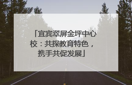 宜宾翠屏金坪中心校：共探教育特色，携手共促发展