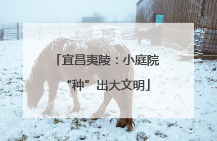 宜昌夷陵：小庭院“种”出大文明