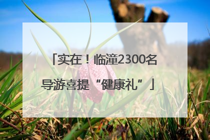实在！临潼2300名导游喜提“健康礼”
