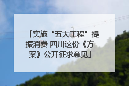 实施“五大工程”提振消费 四川这份《方案》公开征求意见