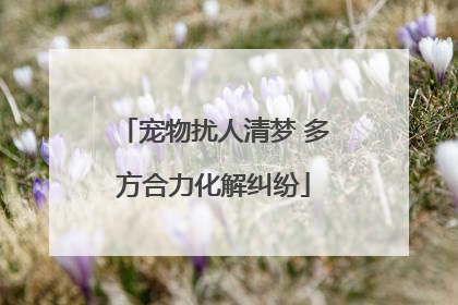 宠物扰人清梦 多方合力化解纠纷