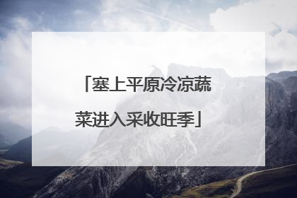 塞上平原冷凉蔬菜进入采收旺季