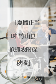 夏播正当时 竹山县抢抓农时保秋收