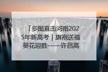 多图直击河南2025年新高考｜旗袍送福 葵花迎胜——许昌高考首日拉开帷幕