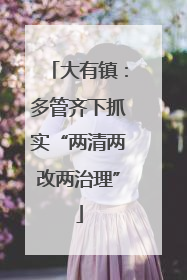 大有镇：多管齐下抓实“两清两改两治理”
