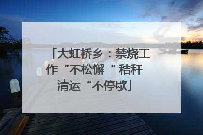 大虹桥乡：禁烧工作“不松懈“ 秸秆清运“不停歇