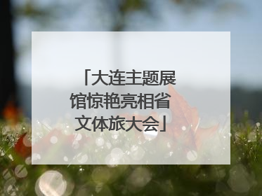 大连主题展馆惊艳亮相省文体旅大会