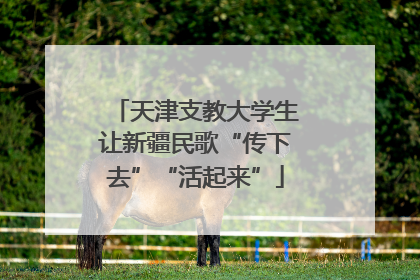 天津支教大学生让新疆民歌“传下去”“活起来”