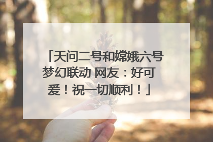 天问二号和嫦娥六号梦幻联动 网友：好可爱！祝一切顺利！