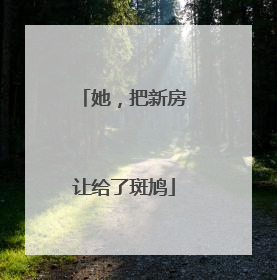 她，把新房让给了斑鸠