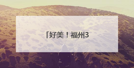 好美！福州3万株百合盛放