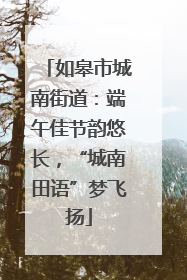 如皋市城南街道：端午佳节韵悠长，“城南田语”梦飞扬