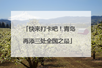 快来打卡吧！青岛再添三处全国之最