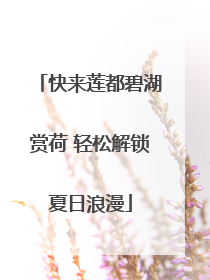 快来莲都碧湖赏荷 轻松解锁夏日浪漫
