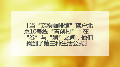 当“宠物咖啡馆”落户北京10号线“青创村”：在“卷”与“躺”之间，他们找到了第三种生活公式