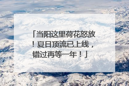 当阳这里荷花怒放！夏日顶流已上线，错过再等一年！