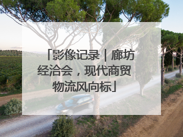 影像记录｜廊坊经洽会，现代商贸物流风向标