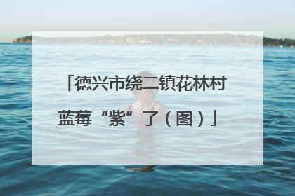 德兴市绕二镇花林村蓝莓“紫”了（图）