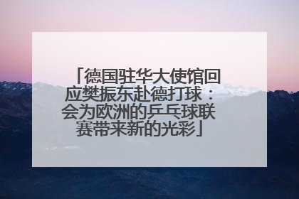德国驻华大使馆回应樊振东赴德打球：会为欧洲的乒乓球联赛带来新的光彩