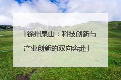 徐州泉山：科技创新与产业创新的双向奔赴