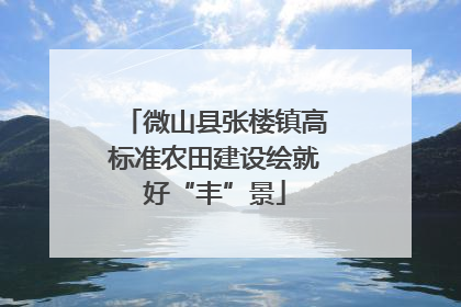 微山县张楼镇高标准农田建设绘就好“丰”景