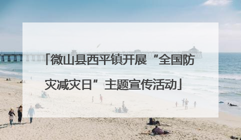 微山县西平镇开展“全国防灾减灾日”主题宣传活动