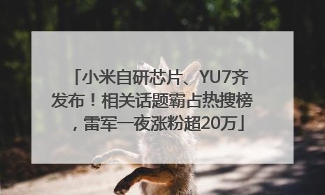 小米自研芯片、YU7齐发布！相关话题霸占热搜榜，雷军一夜涨粉超20万