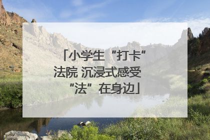 小学生“打卡”法院 沉浸式感受“法”在身边