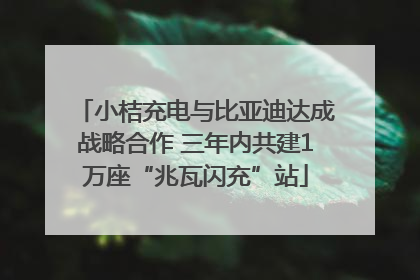 小桔充电与比亚迪达成战略合作 三年内共建1万座“兆瓦闪充”站