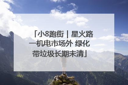 小8跑街｜星火路一机电市场外 绿化带垃圾长期未清