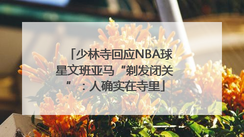 少林寺回应NBA球星文班亚马“剃发闭关”：人确实在寺里
