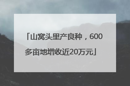 山窝头里产良种，600多亩地增收近20万元