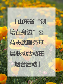 山东省“创培在身边”公益志愿服务基层联动活动在烟台启动