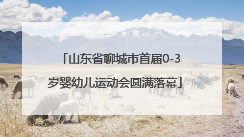 山东省聊城市首届0-3岁婴幼儿运动会圆满落幕