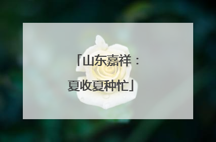 山东嘉祥：夏收夏种忙