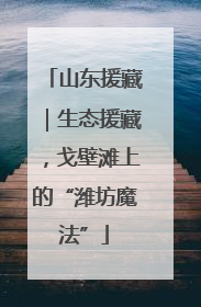 山东援藏｜生态援藏，戈壁滩上的“潍坊魔法”