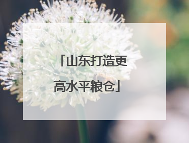 山东打造更高水平粮仓